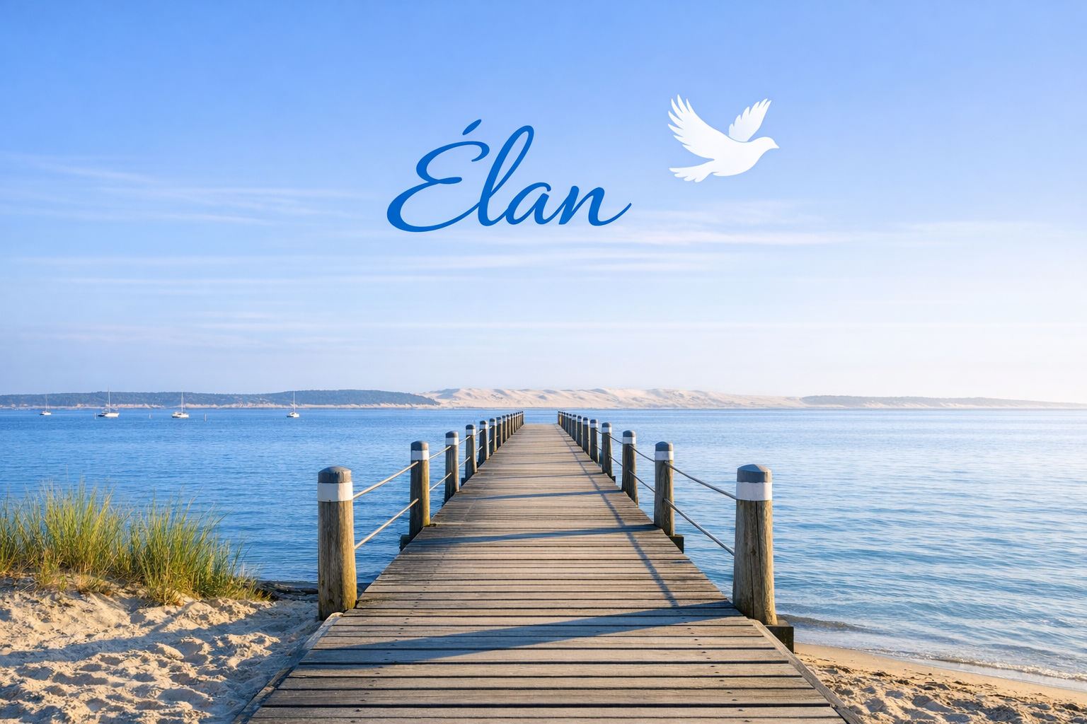 Élan - LiberPro